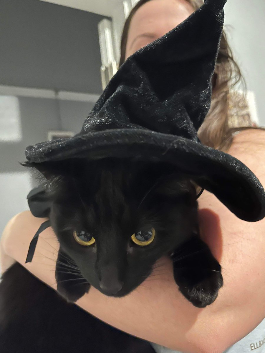 PaleReflectCast's tweet image. APU2’s most important guest just got their outfit