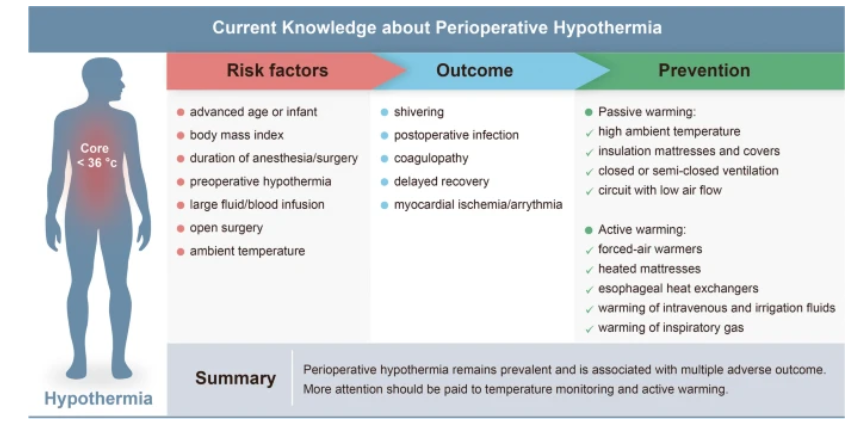 journal_aps's tweet photo. Read the new review article from @journal_aps : Inadvertent #hypothermia: a prevalent #perioperative issue that remains to be improved.
#anesthesia 
https://t.co/f54FIdJBSW https://t.co/zrjD6lF2c4