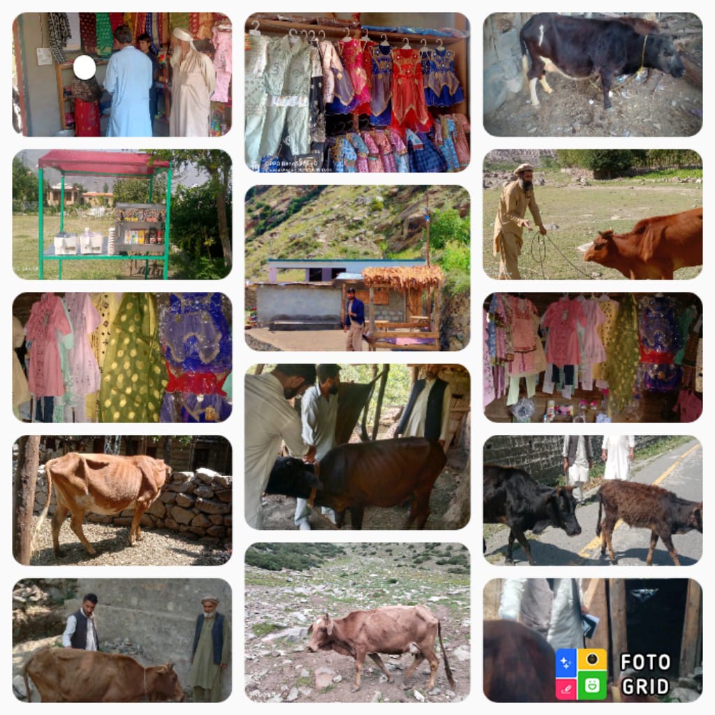 AKRSPPAKISTAN's tweet photo. Under our agricultural input supplies initiative, we have provided vital support for livestock, micro-enterprises, and ladies' shops to 20 deserving households, including 7 incredible female-headed households in Diamer District.

@akdn
@AKFCanada

#AKDN #AKF #AKRSP #Diamer https://t.co/d6CnJRi7bX