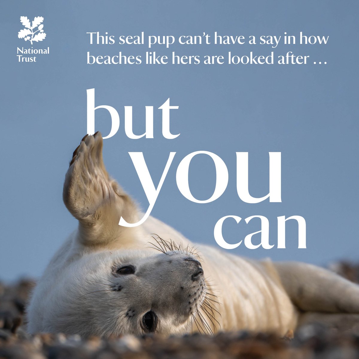 Have you voted in the National Trust AGM yet? It’s quick and easy - all you need is your device, your membership card, and five minutes.
- Go to cesvotes.com/nt23
- Enter your membership details.
- Vote for up to 5 Council election candidates.
- Let us know if you plan to