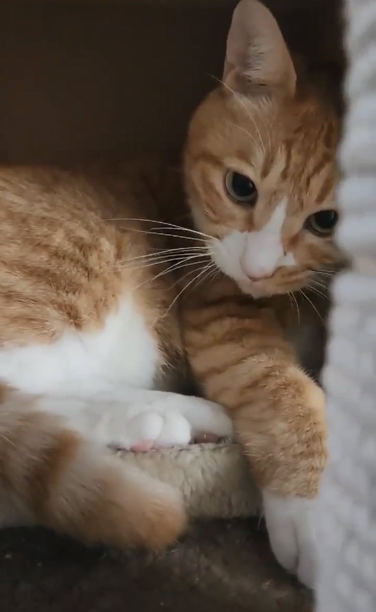 우리순이는평생아기야