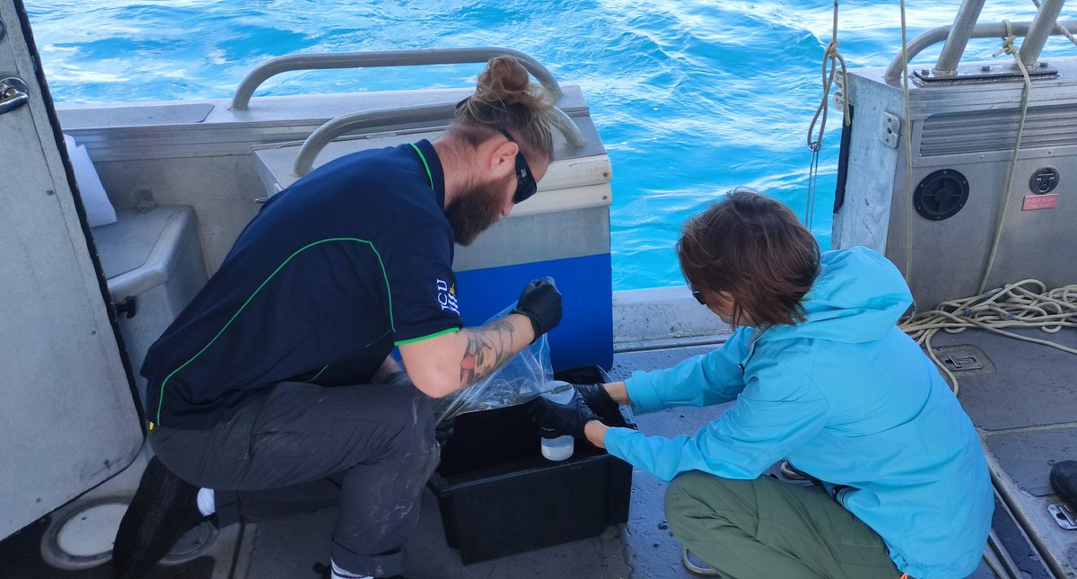 Today we got to take some eDNA samples while humpback whales and their calves were waving at us in the background! 🐋  #HerveyBay #Australia <a href="/perks91/">Joe Perkins</a>