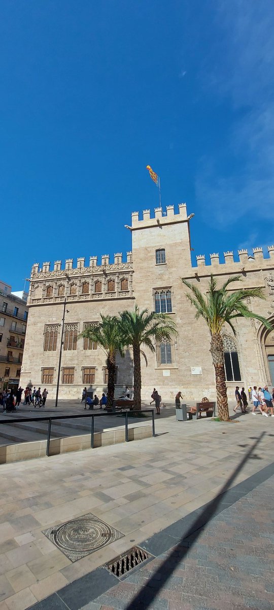 #VYMM. #Valencia es la Malvarrosa, es el Oceanografic, es la Albufera, pero también #Patrimonio. Comenzamos con la Lonja de la Seda, Patrimonio de la Humanidad, con su sala Columnario con 24 columnas de 17 metros, su jardín de los naranjos y el techo del Consulado del Mar.