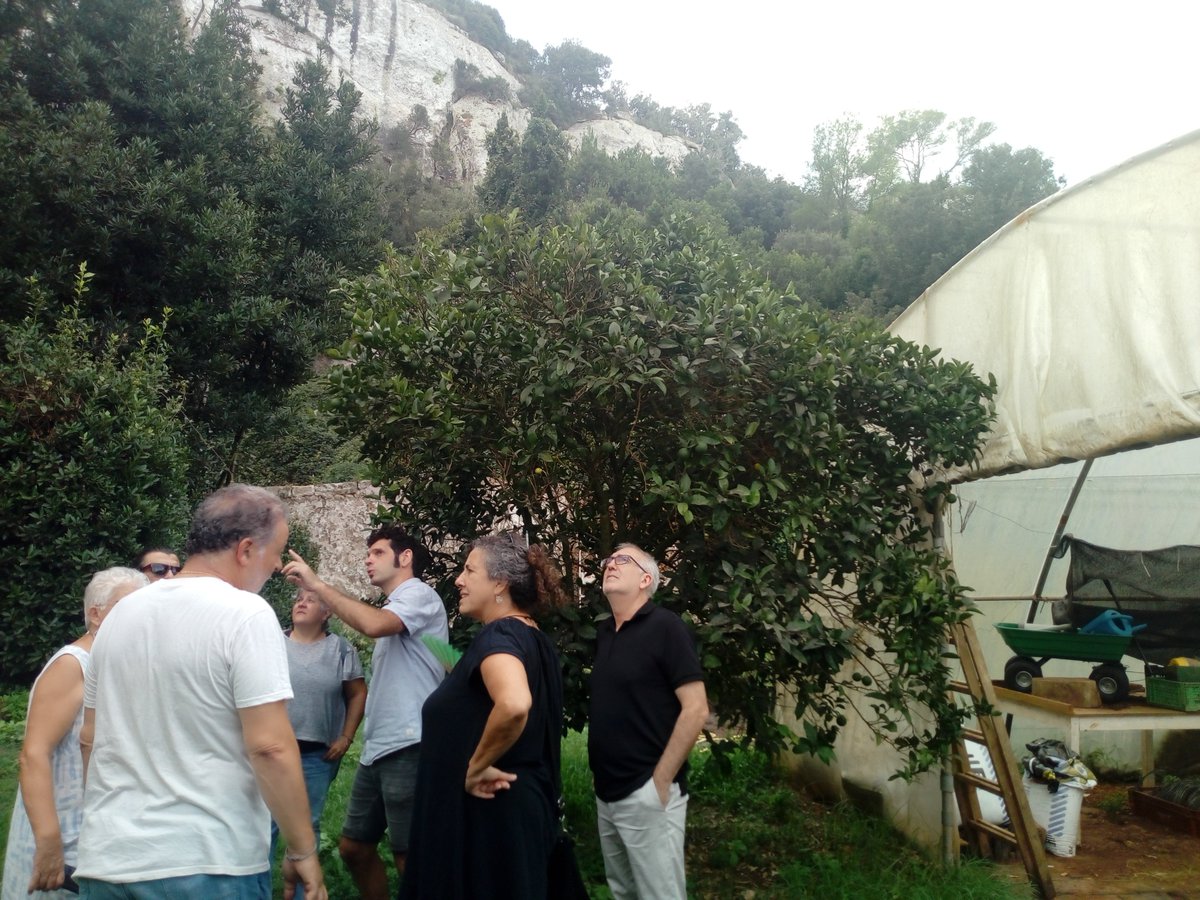 Mercat Social Illes Balears tweet media