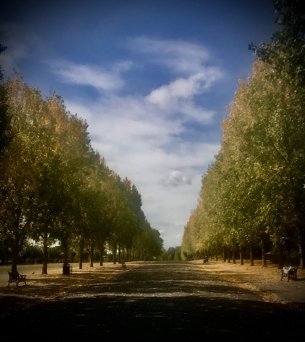 A touch of #autumn arrives in #London