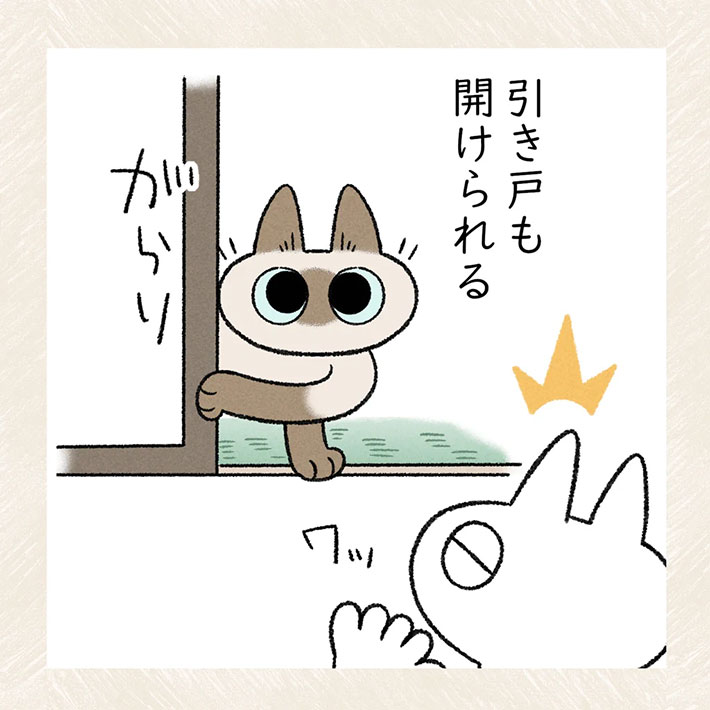 扉を開けられるほど賢い猫が? 「うちの子と一緒」「癒されました」 https://t.co/4xm0d50Z5F @grapeejpより 
