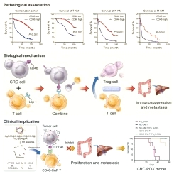 Investigation of the enhanced antitumour potency of
CD46-specific chimeric antigen receptor-T cells in human colorectal
cancer liver metastases after combination with
nanotherapeutics
bit.ly/45Q4M99

#microchips @microchippark