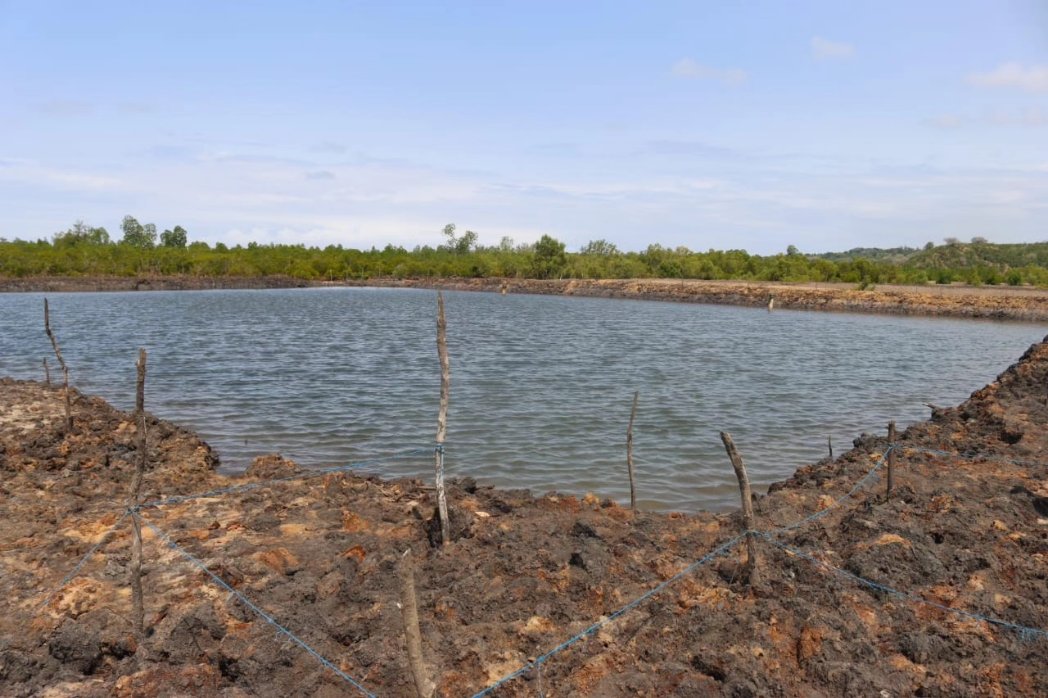 BlueEconomy003's tweet image. The Ihaleni Kakuluni Conservation Group is constructing two fish ponds in Mnarani Ward, thanks to the support of the Department of Blue Economy.

One of the ponds has already been completed, while the other is ongoing. These ponds will be used to raise prawns and milkfish.