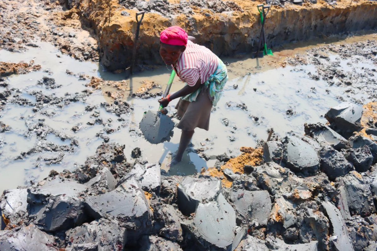 BlueEconomy003's tweet image. The Ihaleni Kakuluni Conservation Group is constructing two fish ponds in Mnarani Ward, thanks to the support of the Department of Blue Economy.

One of the ponds has already been completed, while the other is ongoing. These ponds will be used to raise prawns and milkfish.