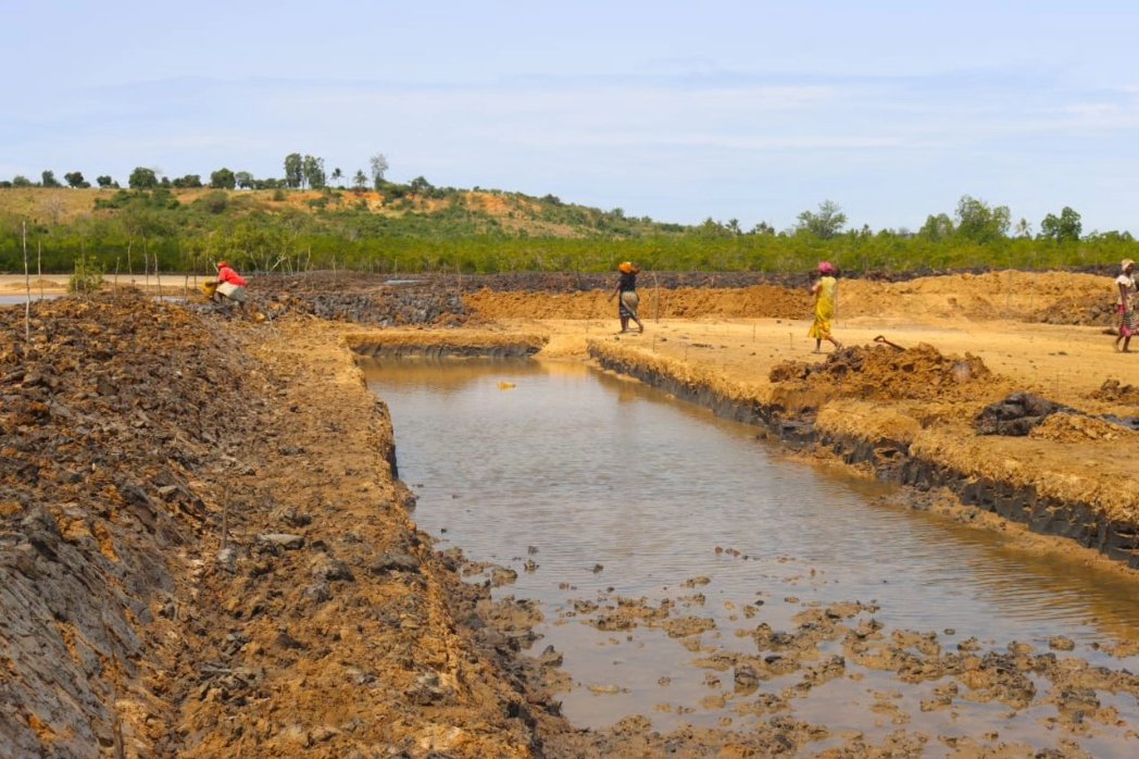 BlueEconomy003's tweet image. The Ihaleni Kakuluni Conservation Group is constructing two fish ponds in Mnarani Ward, thanks to the support of the Department of Blue Economy.

One of the ponds has already been completed, while the other is ongoing. These ponds will be used to raise prawns and milkfish.