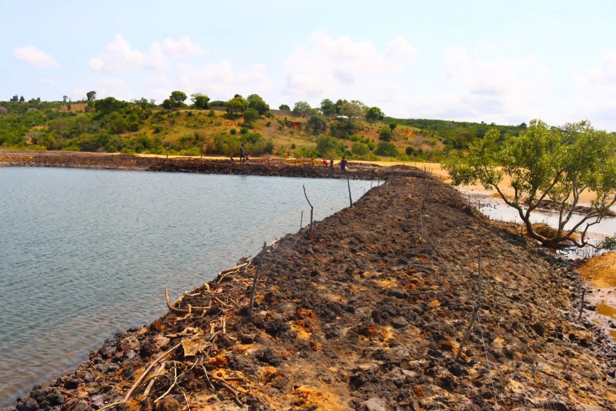 BlueEconomy003's tweet image. The Ihaleni Kakuluni Conservation Group is constructing two fish ponds in Mnarani Ward, thanks to the support of the Department of Blue Economy.

One of the ponds has already been completed, while the other is ongoing. These ponds will be used to raise prawns and milkfish.