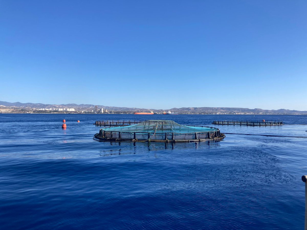Kimagro Fishfarming στη θάλασσα του Βασιλικού, ξενάγηση στις θαλάσσιες εγκαταστάσεις ιχθυοκαλλιέργειας από τον ιδιοκτήτη της Εταιρείας Αντώνη Κιμωνίδη. Η <a href="/OEBcy/">Ομοσπονδία Εργοδοτών & Βιομηχάνων - OEB</a> με το επιχειρείν της Κύπρου σε κάθε γωνιά της επικράτειας.
Δείτε το φιλμάκι 👇
levantinafish.com/gallery/#item-3