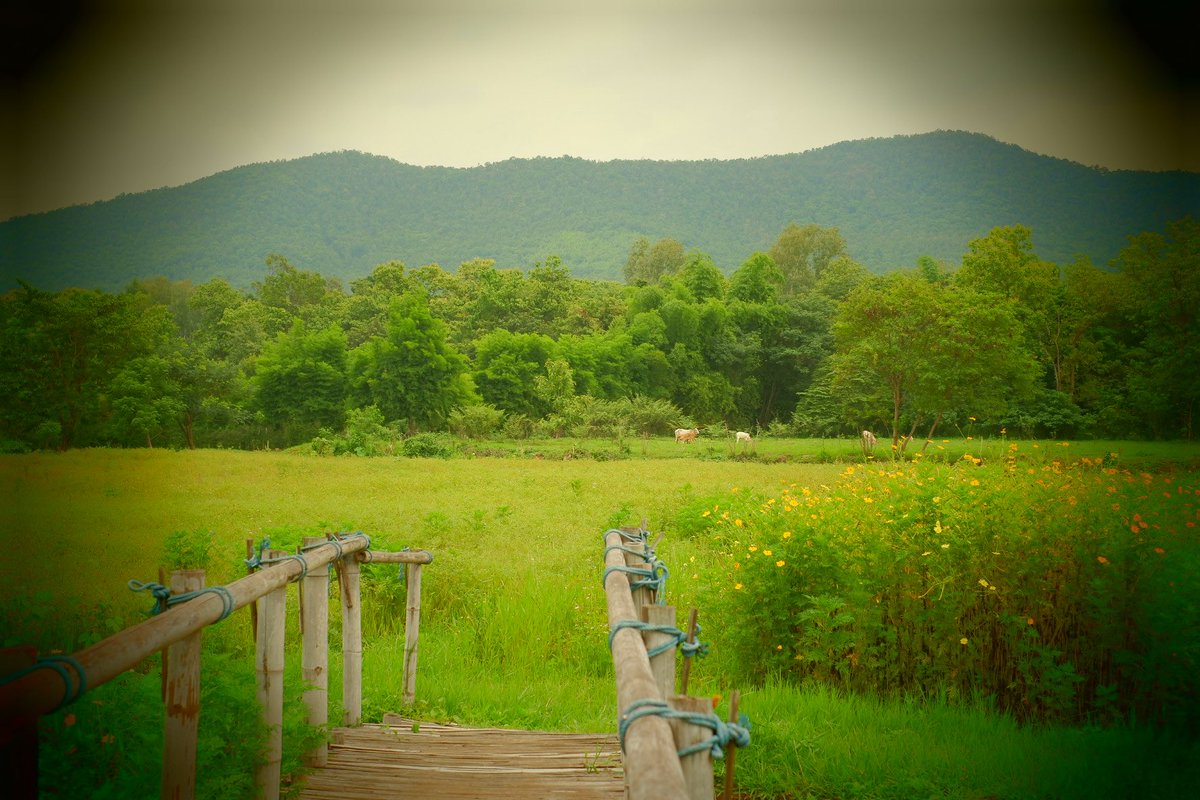 eveningcolour's tweet photo. คาเฟ่แบบโอเพนแอร์ ล้อมรอบไปด้วยธรรมชาติ มีวิวเขาและสวนดอกไม้ให้ถ่ายรูป บรรยากาศชิลสุดๆ

💐 Jin Na Mon Cafe | Chiangmai 

#คาเฟ่เชียงใหม่ #เที่ยวเชียงใหม่ #เชียงใหม่รีวิว https://t.co/k5HHUcCjDn