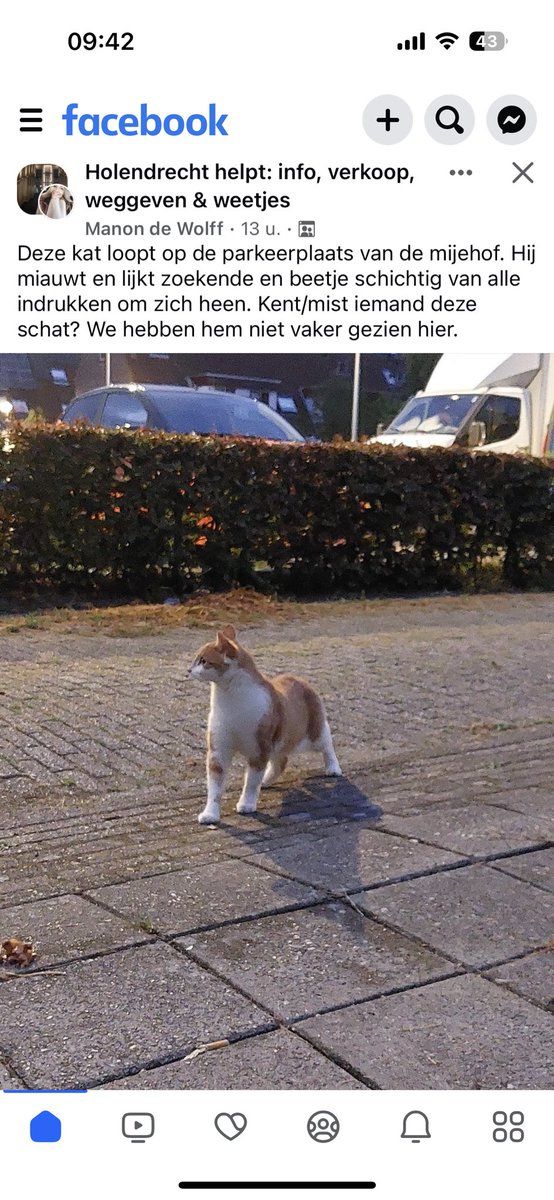 VentjeJoris's tweet photo. #O20 #zuidoost! https://t.co/FWpAl75Y9h