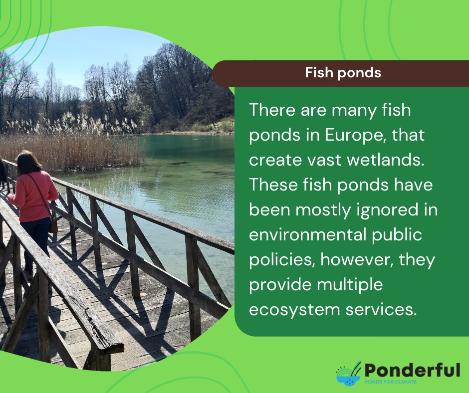 Ponderful tweet media