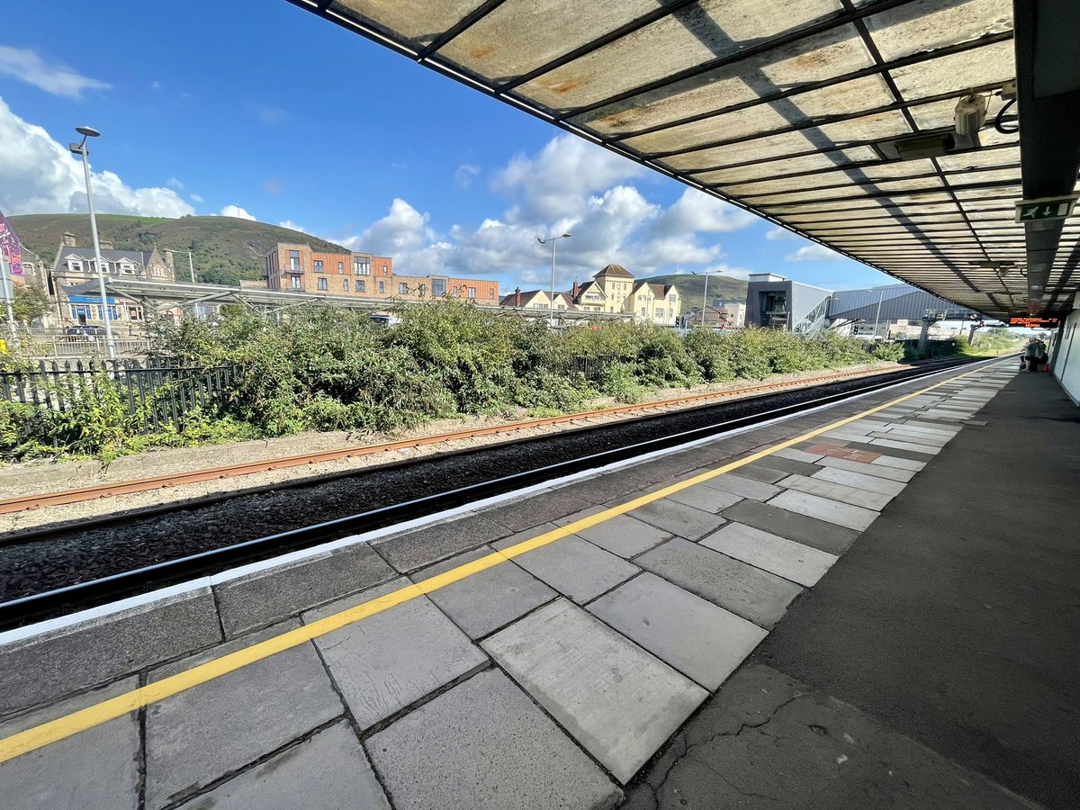 Rohini Mohan ( Roh ) tweet media