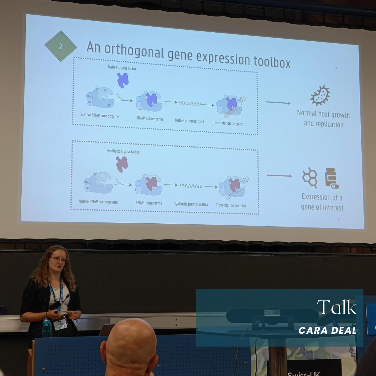 CSB_UGent's tweet photo. At the end of August, our colleagues @BaetsJasmine and @cara_deal attended the Swiss-UK Synbio conference in beautiful Lausanne, Switzerland! They had the opportunity to showcase their posters and Cara Deal also presented her research during a talk.
#synbio #SwissUKSynBio https://t.co/DBjaUitMgB