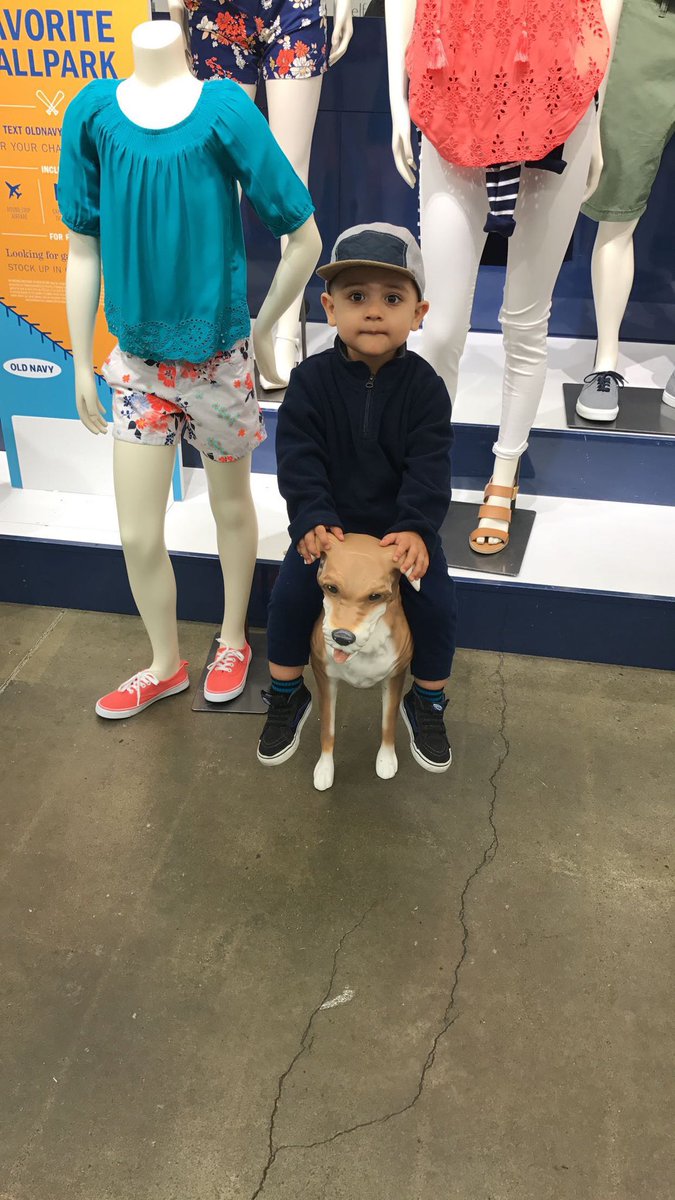 DopeeItsDee's tweet photo. 6 years later, same dog. https://t.co/Fg0Maq8psm