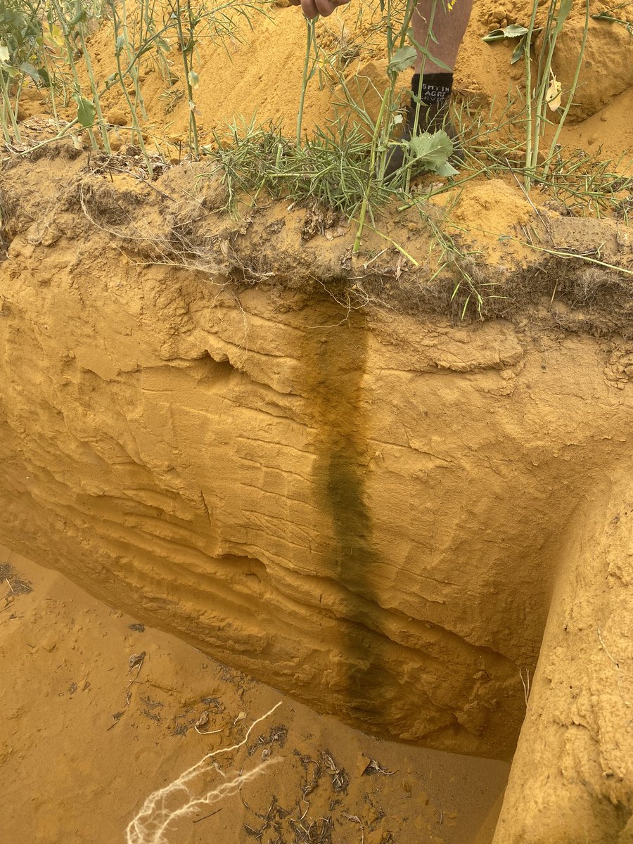 If this is what it takes to make it rain we’ll do it more often <a href="/3FINFINFIN/">3FIN</a> <a href="/chad_eva/">Chad Eva</a> <a href="/GRDCWest/">GRDC West</a>