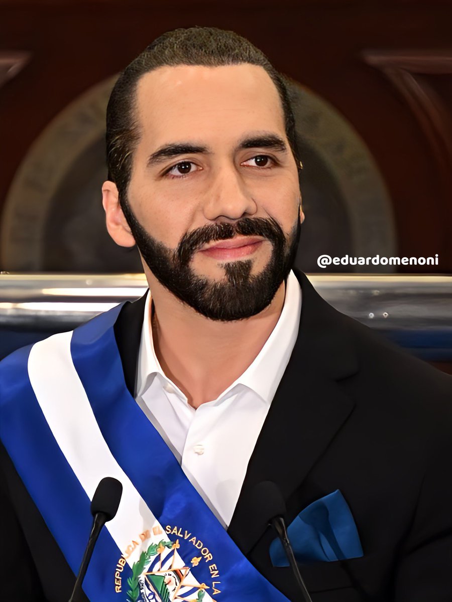 ¿Te gustaría que hubiera un Presidente como Nayib Bukele en tu país?

Si ❤️🔄
No 📝