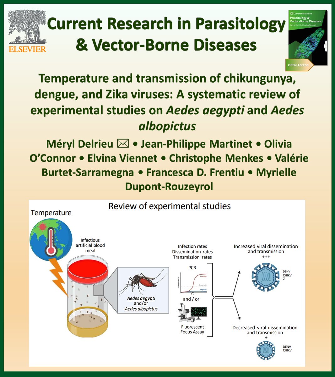 New in @CRPVBD

A review: Experimental studies of the effect of temperature on the transmission of DENV, CHIKV and ZIKV by Aedes aegypti and Ae. albopictus.

sciencedirect.com/science/articl…

#chikungunya #dengue #Zika

@M_delrieu @e_viennet @QUT_CIIC
