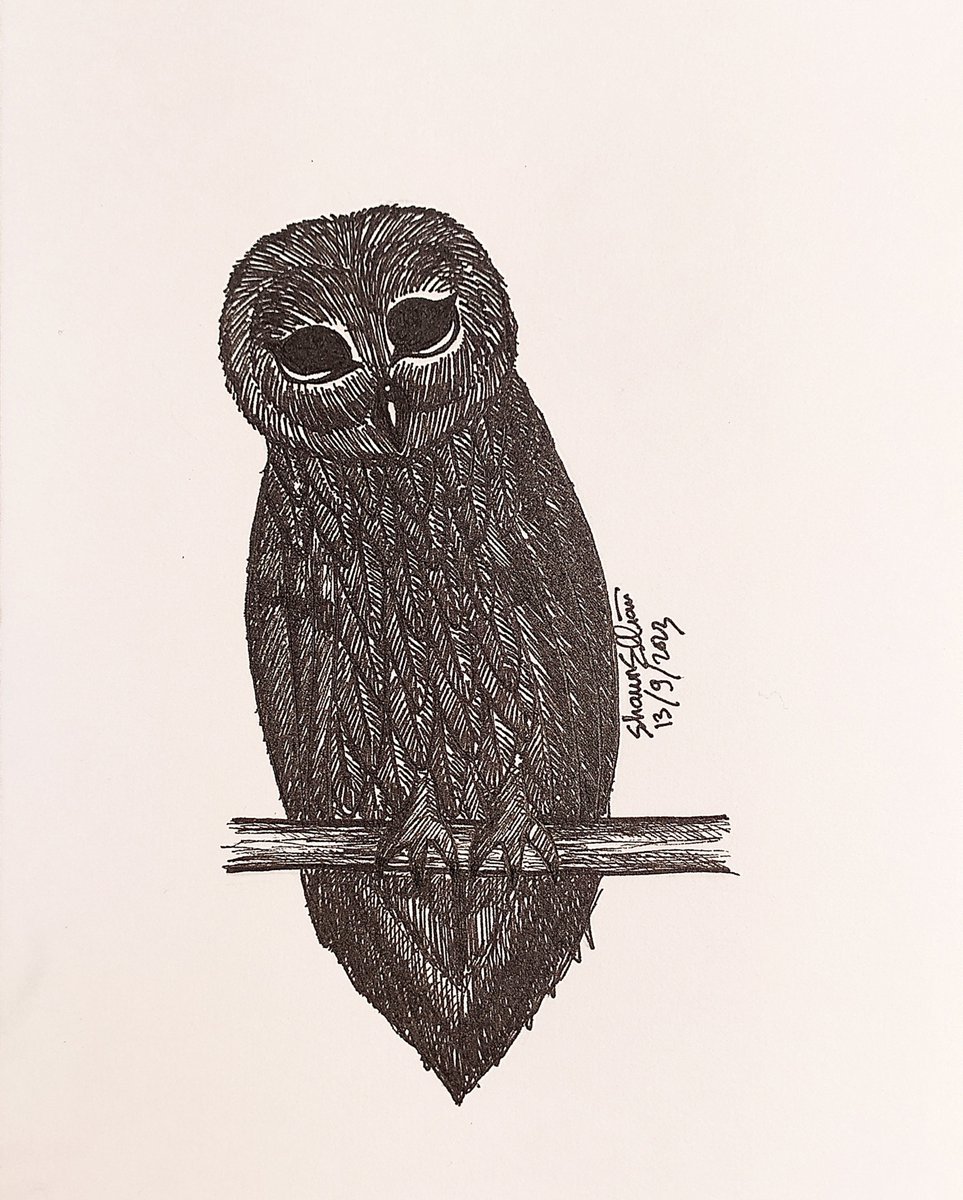 Owl 🦉

instagram.com/p/CxHd-5WSICR/…

#animaldrawingpractice #drawingpractice #pendrawing #inkdrawing #traditionalart #drawing #sketching #bird #owl #owldrawing #artcommunity