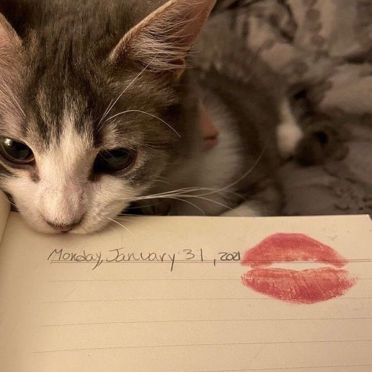 tina🐈 || ia tweet media