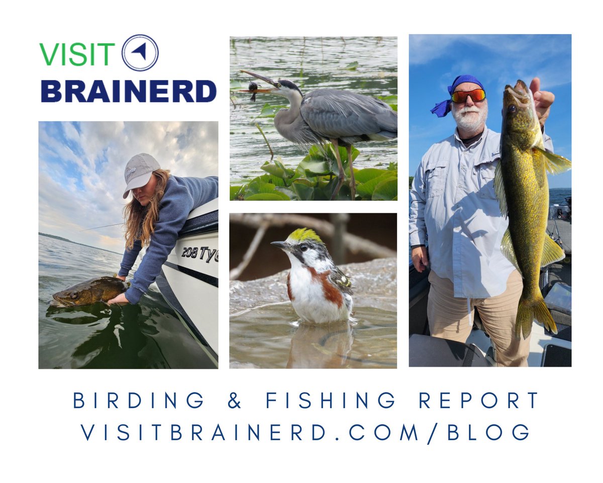 Visit Brainerd tweet media