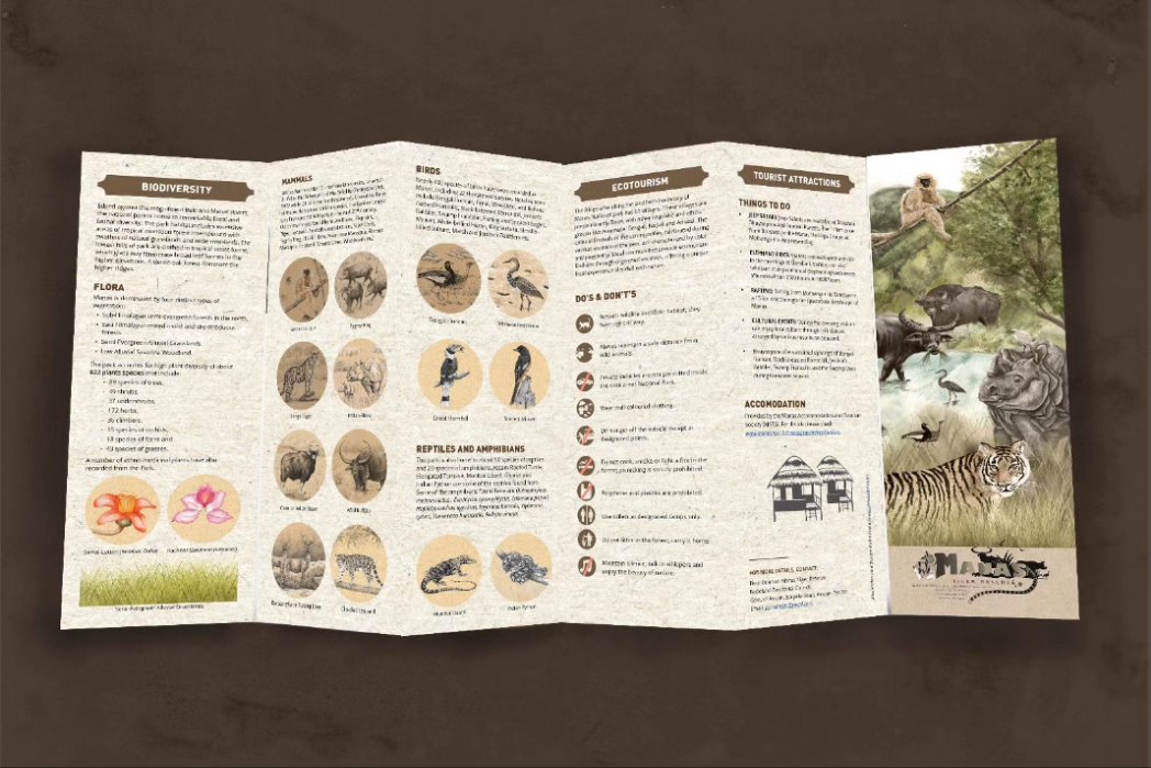 Manas brochure illustrated and designed by me.

#manasnationalpark #wildlifeillustration #indiaves #TwitterNatureCommunity