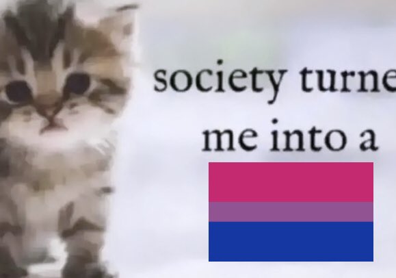 Bisexual shitposts ☽☾ tweet media