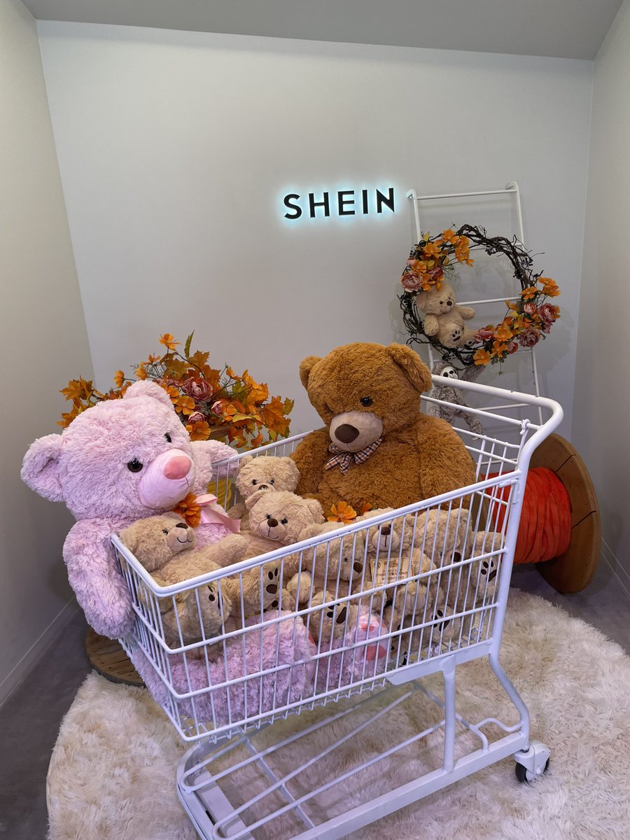 クーポンコードSTAW23で最大20%OFF