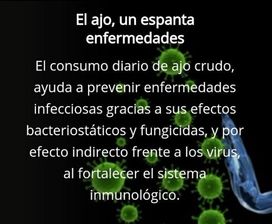 El ajo, un espanta enfermedades

El consumo diario de ajo crudo, ayuda a prevenir enfermedades infecciosas gracias a sus efectos bacteriostáticos y fungicidas, y por efecto indirecto frente a los virus, al fortalecer el sistema inmunológico
Lee más aquí
👉 alycinsalud.com/beneficios-del…