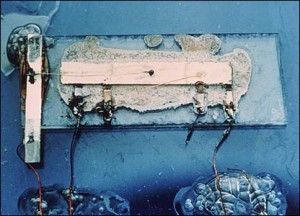 digikey's tweet photo. On this day in 1958, Jack Kilby tested the very first IC at Texas Instruments 

Read more -->  https://t.co/TJGW4CaxI9 https://t.co/njL0N7fUvQ