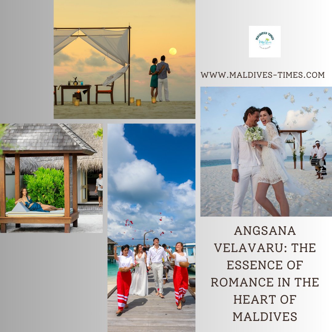 Angsana Velavaru, located in a captivating archipelago, is renowned as a #romantic getaway that has captured the #hearts of #couples from all over the #world.

maldives-times.com

#maldiveswedding #weddinginmaldives #maldivesresorts #top5resorts #topluxuryresorts