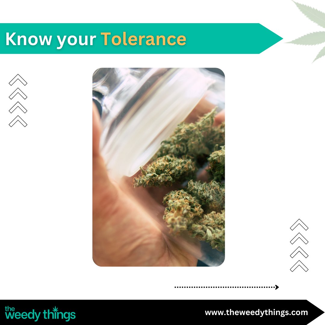 Elevate your cannabis experience with these 4 incredible tips for choosing the finest marijuana strains on the market. 🌿✨ 

#CannabisCommunity #StrainSelection #ExpertAdvice #MarijuanaStrains #CannabisTips #BestWeed #StonerWisdom #CannabisCulture #TopStrains #GreenThumb