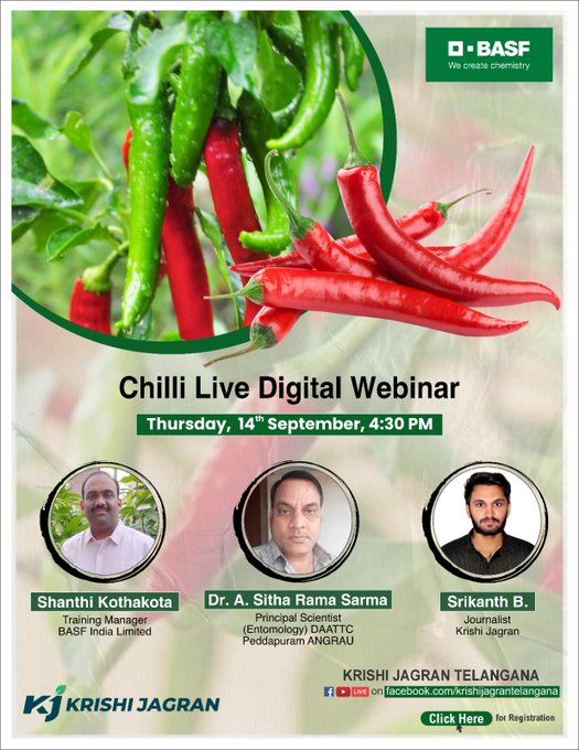 kjkrishimedia's tweet photo. "Enhance your knowledge with the Chilli Live Digital Webinar on Thursday, September 14 at 4:30 PM! Register now to stay informed about exciting upcoming webinars and events."

Register Now : https://t.co/vHK9Bb4Xba

#livefacebook #livewebinar #chilli #events #FacebookLive #krishijagran
