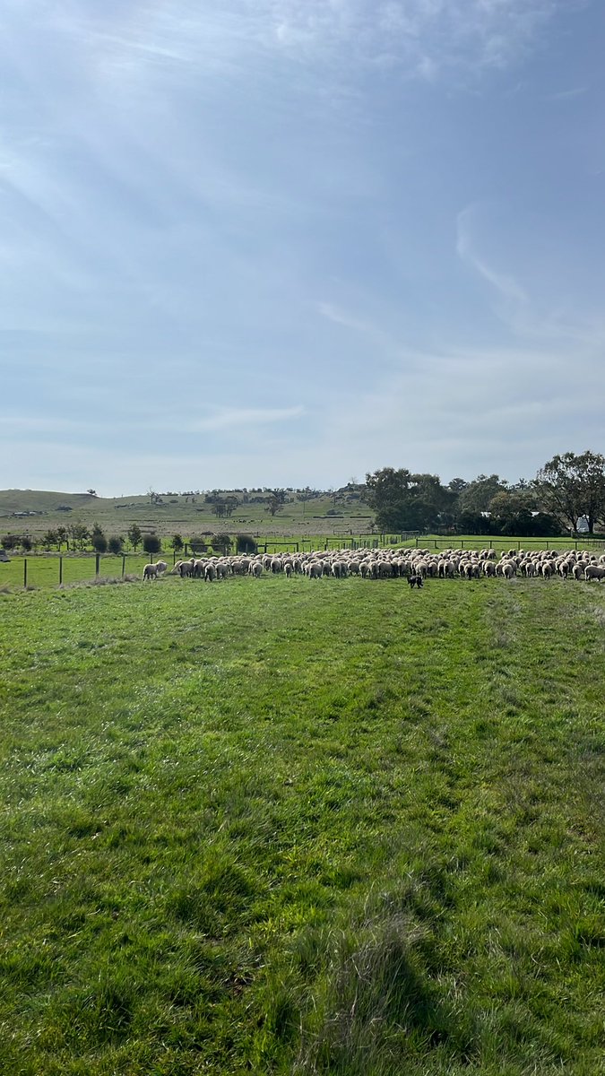 Days like this sure beat being in an office! Hopefully next rain not far away