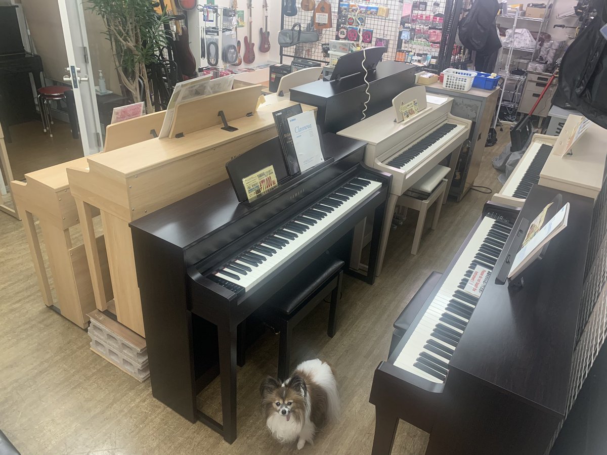 takeoff_namba's tweet photo. ヤマハ、カワイ、ローランドの電子ピアノです。
ピアノ教室への入会もお待ちしております。 https://t.co/G5s1a6HF8I
