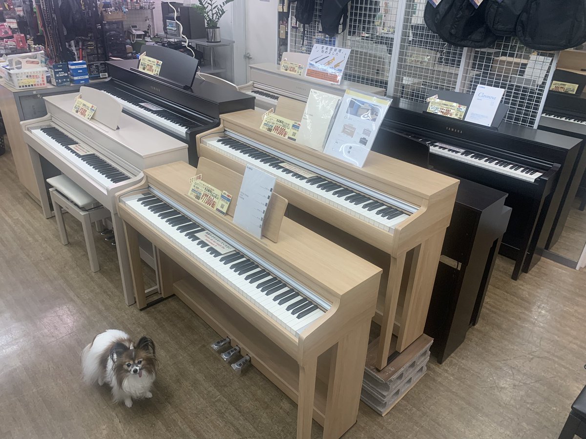 takeoff_namba's tweet photo. ヤマハ、カワイ、ローランドの電子ピアノです。
ピアノ教室への入会もお待ちしております。 https://t.co/G5s1a6HF8I