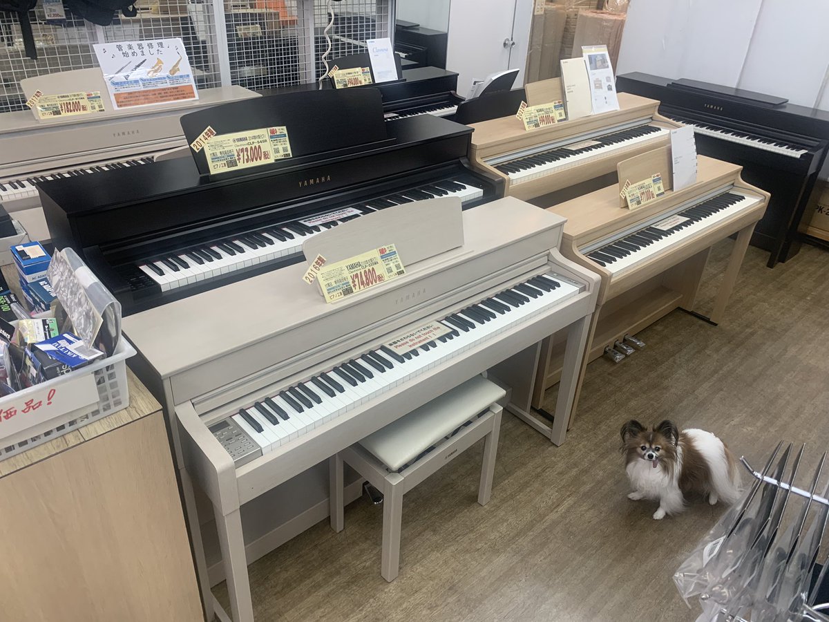 takeoff_namba's tweet photo. ヤマハ、カワイ、ローランドの電子ピアノです。
ピアノ教室への入会もお待ちしております。 https://t.co/G5s1a6HF8I
