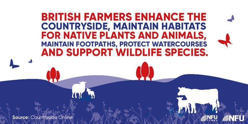 JoeWStanley's tweet photo. #BackBritishFarmingDay https://t.co/MSzvKdi5Zm