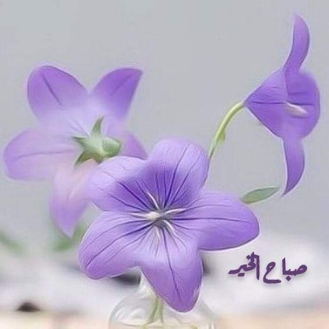 اللهم إنا نسألك صباحاً يملأ الأجساد عافية ، و الروح فرحاً ، اللهم أرحنا من هموم الدنيا ، و ارزقنا التوفيق في جميع أمورنا
اللّهُـــمَ آَمِـــينْ🤲
#صباح_الخير_والسعاده