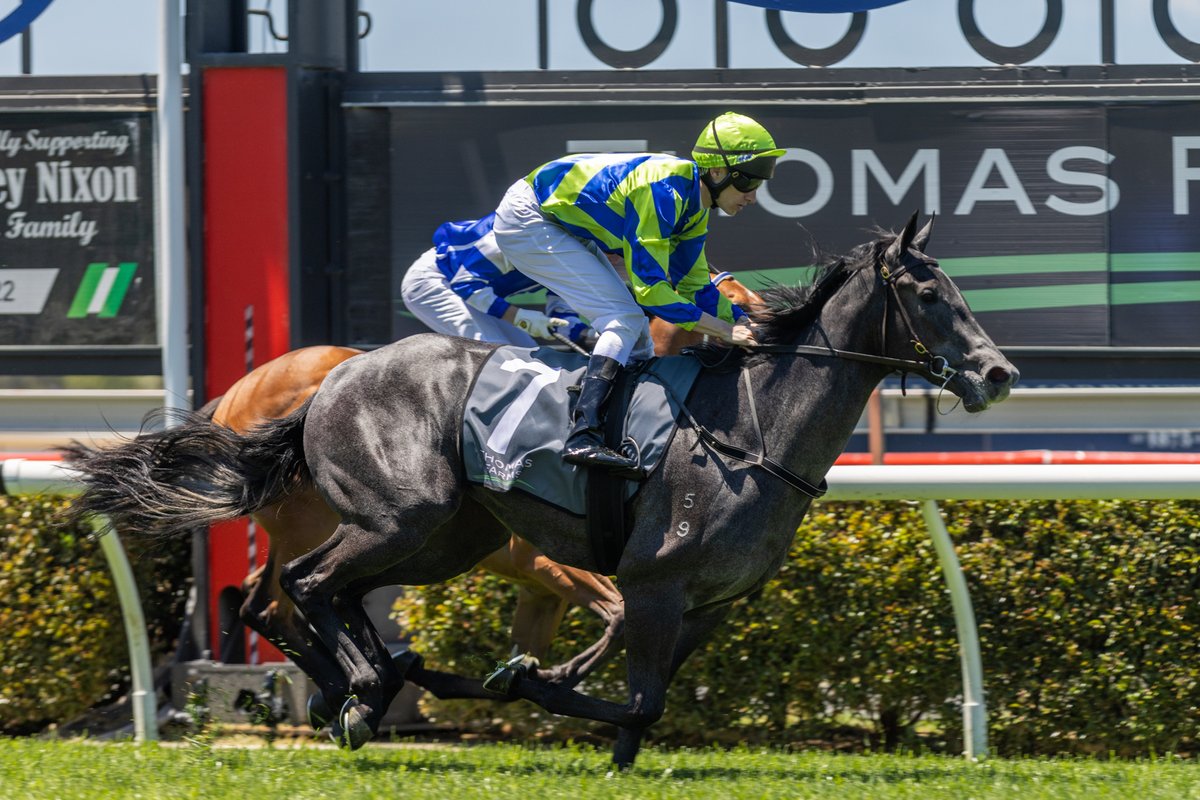 Tim Geers tweet media