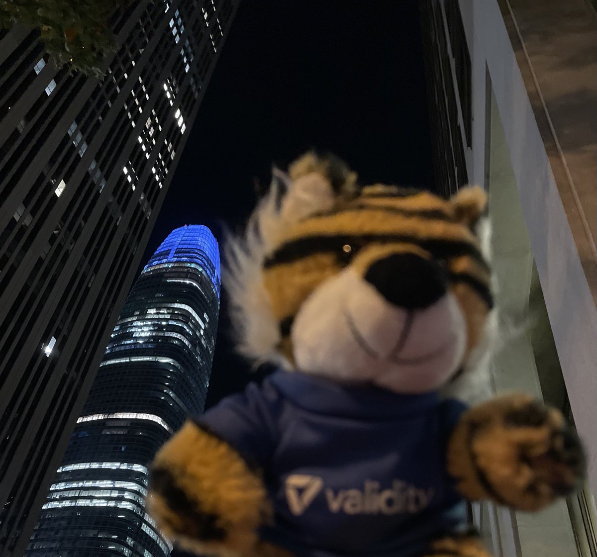 What’s Dreamforce for the Validity tiger without a visit to the Salesforce Tower? ⁦<a href="/TrustValidity/">Validity</a>⁩