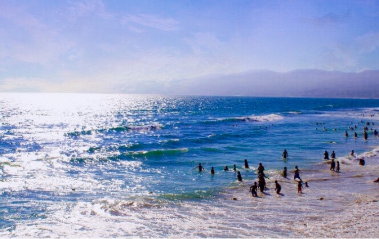 A day at the beach, Santa Monica, California🌊

#oceanphotography #waves #ocean #beach #beachlife #beachday