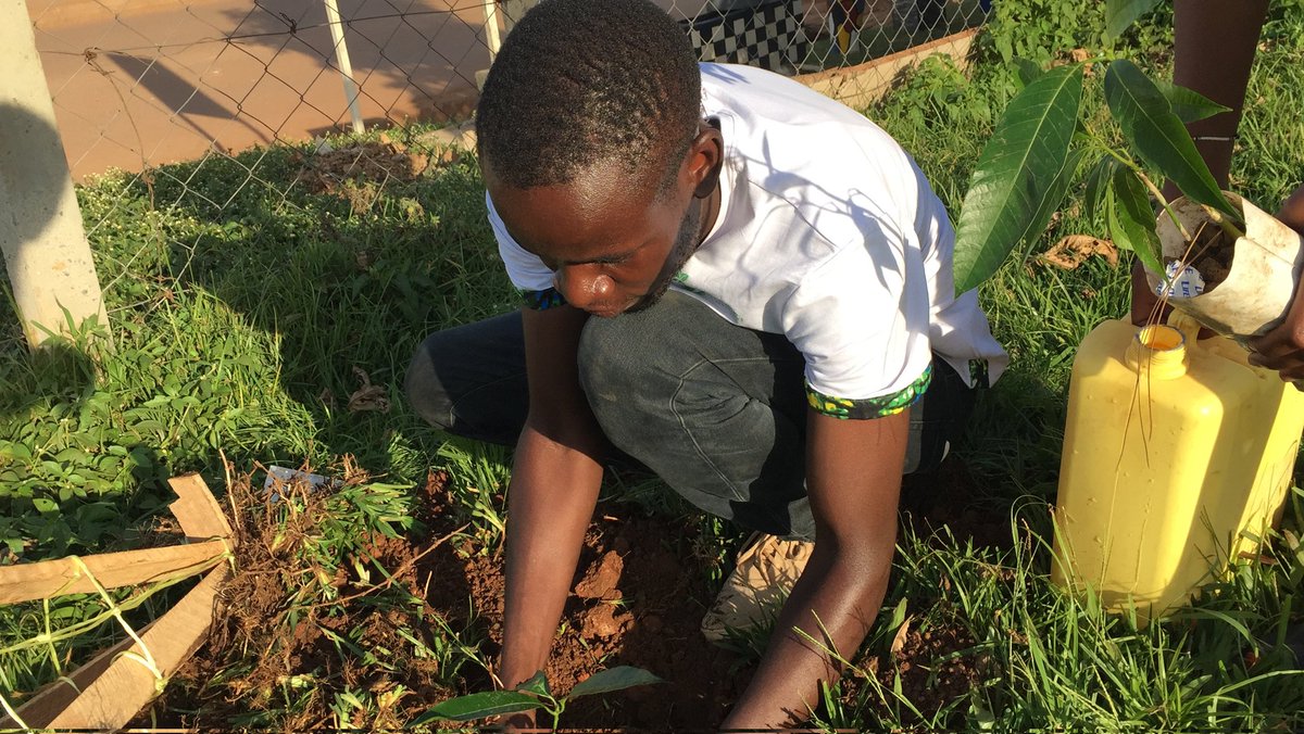 256Solomon's tweet photo. We are getting hands dirty today. Bringing up some life, that's the trees. starting today to plant trees in memory of the climate summit.
And as well I will be planting the ages of a few friends
Let me know what you think in the comment section
#trees #trees4ACS #plantyourage https://t.co/ZoIMiKICkC