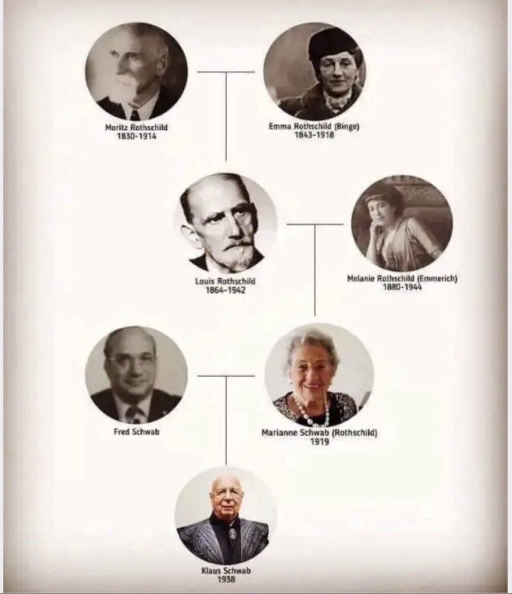 Justin Echeverri tweet media