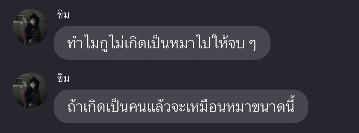 บ้บ (@dogonboo) on Twitter photo 