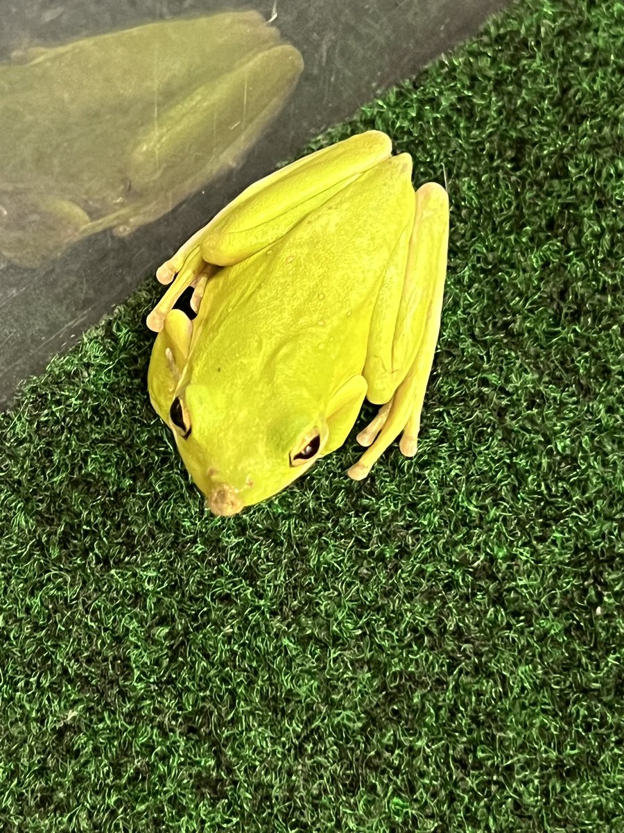 Mrs.Bone's Class tweet media