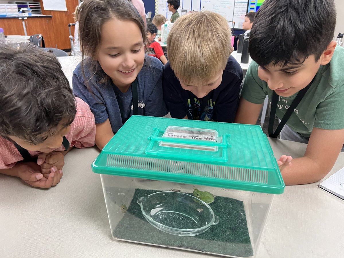 Mrs.Bone's Class tweet media